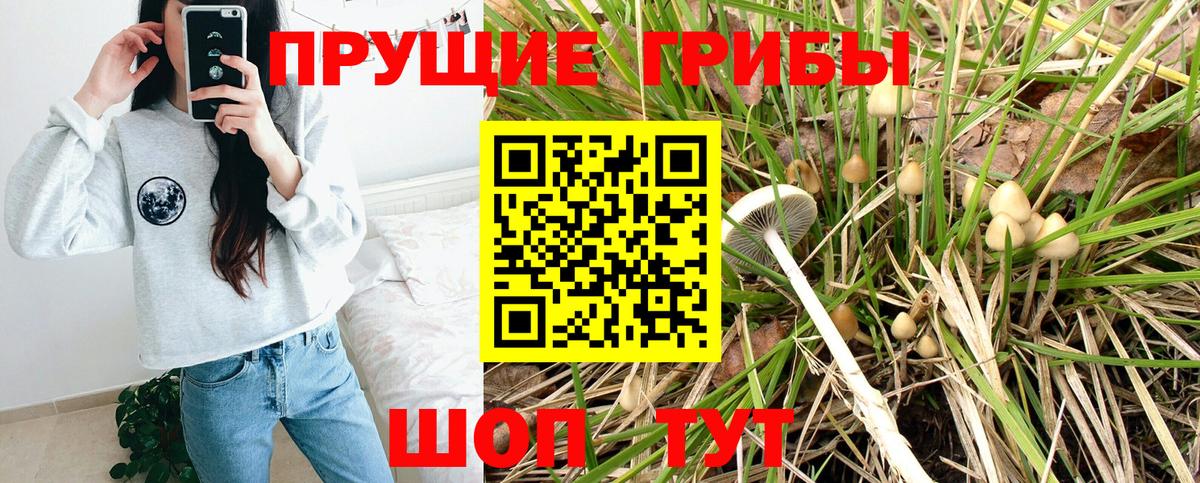 Галлюциногенные грибы Psilocybine cubensis Уфа